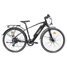 Denver Trekking-E-Bike