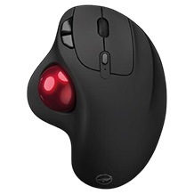 Mobility Lab ML313276