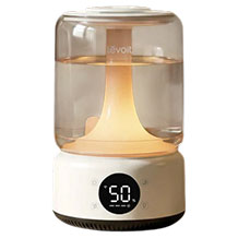 Levoit NeoClassic 450S