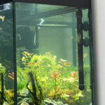 Aquarium-Heizungen