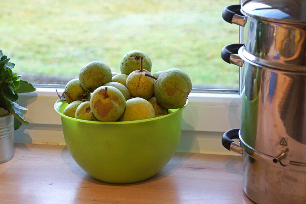 gesammeltes fallobst in kueche neben dampfentsafter