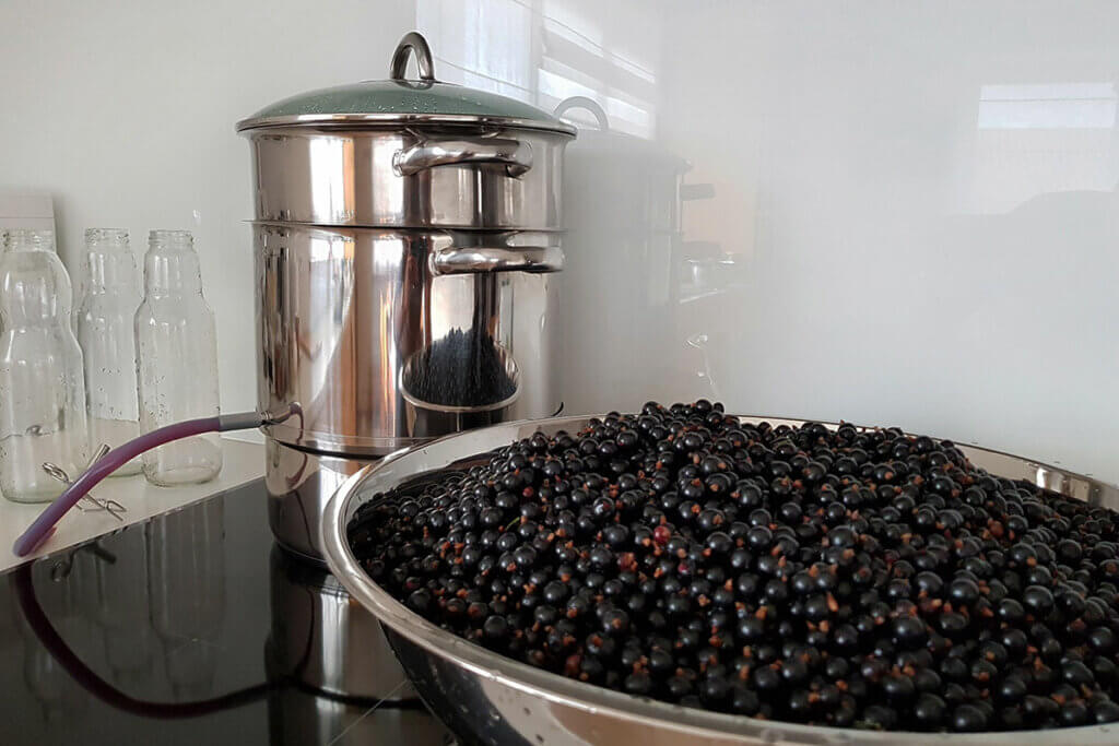 schwarze johannisbeeren in schuessel neben entsafter