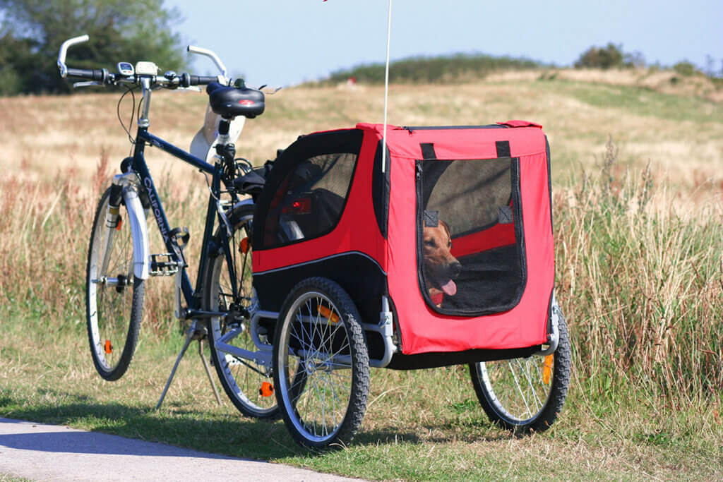 Fahrrad mit Hundeanhänger samt Hund neben Feld