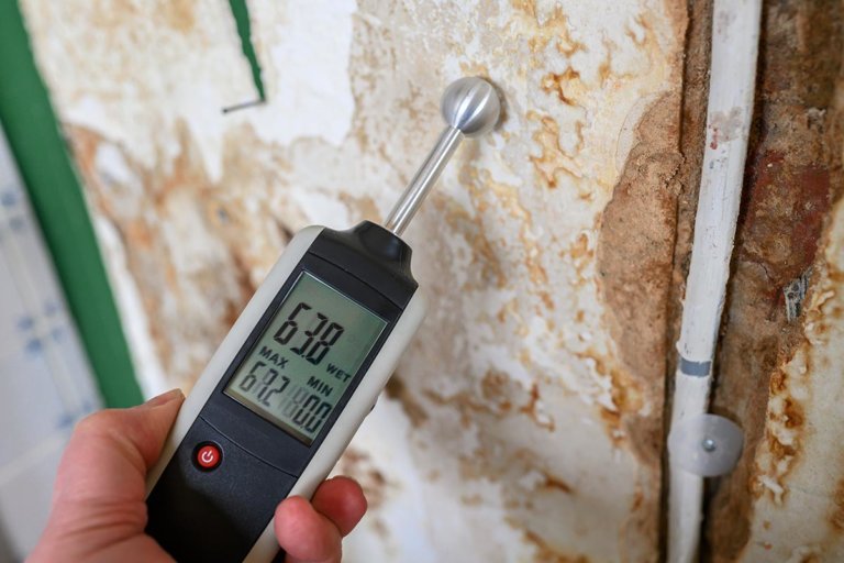 Feuchtigkeitsmessgeräte