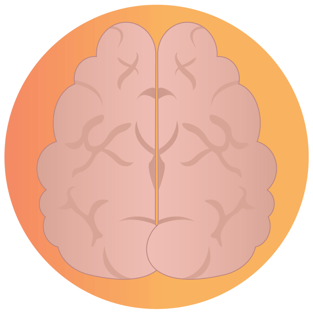 Gehirn - Icon