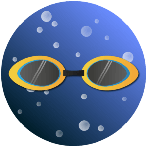Icon Schwedenbrille