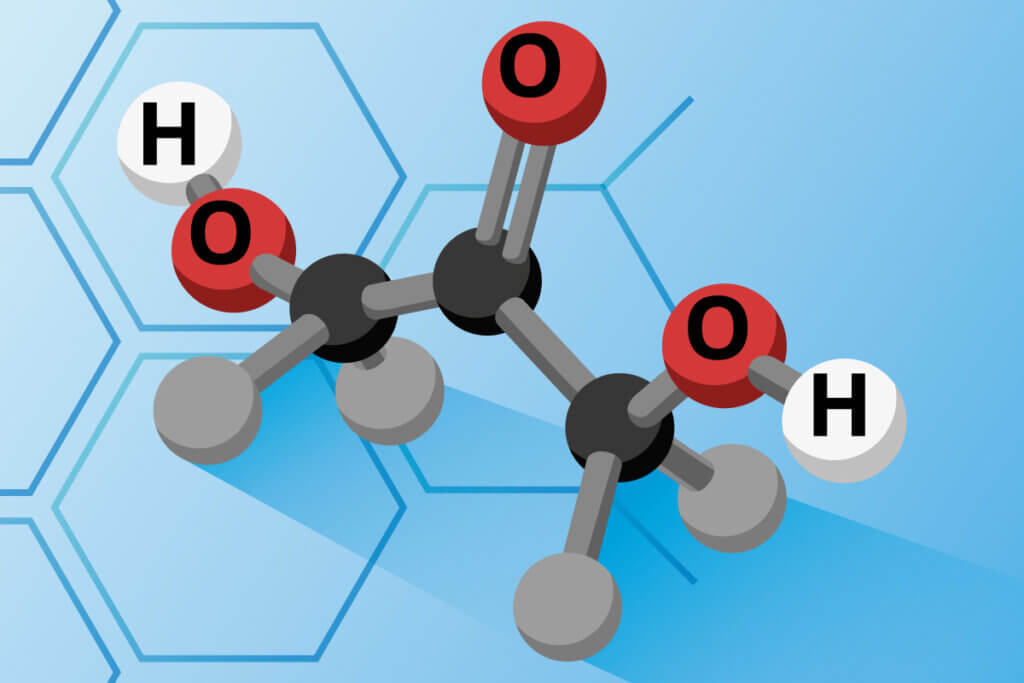 selbstbraeuner-dha_modell