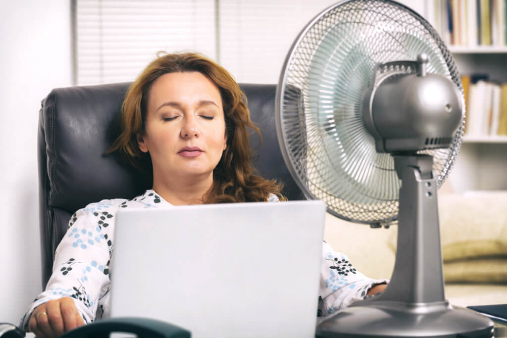 Frau mit Laptop vor Ventilator