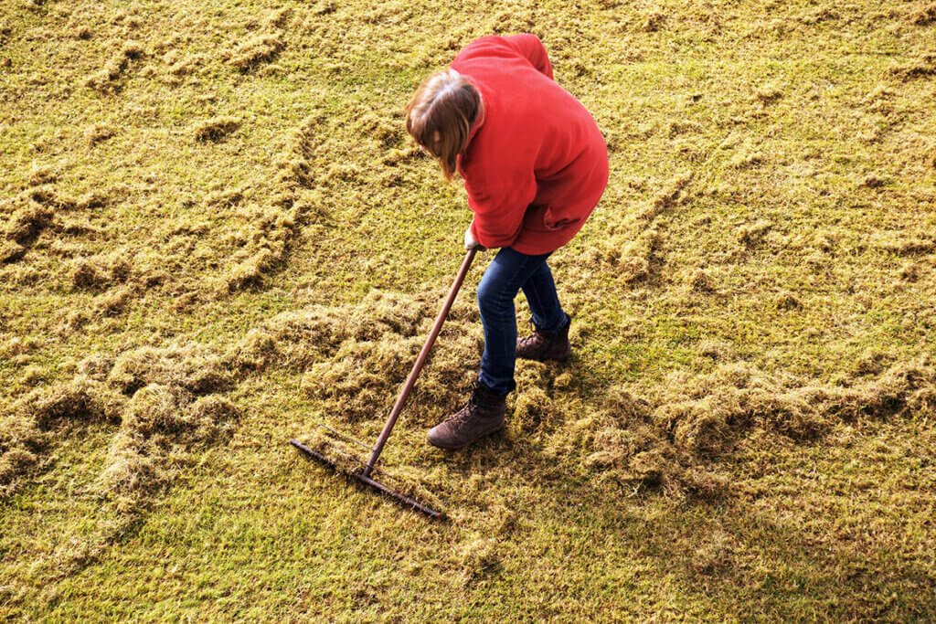 Gartenpflege mit Harke