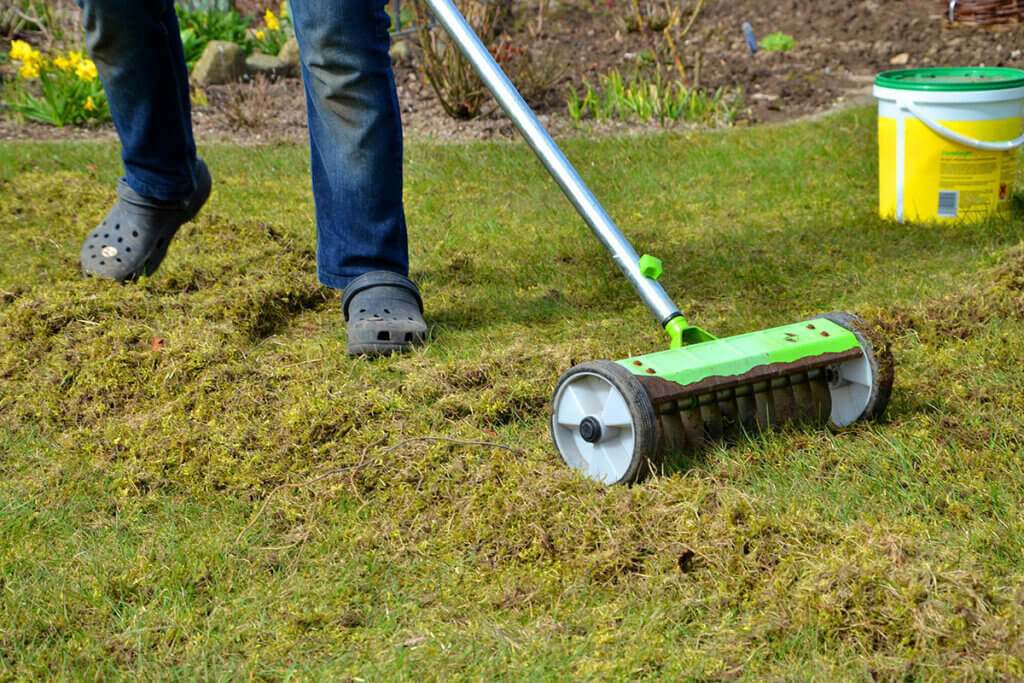 Rasen wird gepflegt